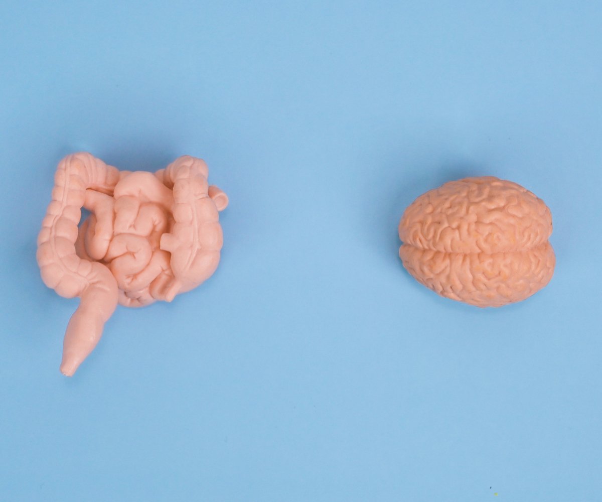 The gut-brain connection: your secret to feeling aMAZING (inside and out) - Hey Sister!