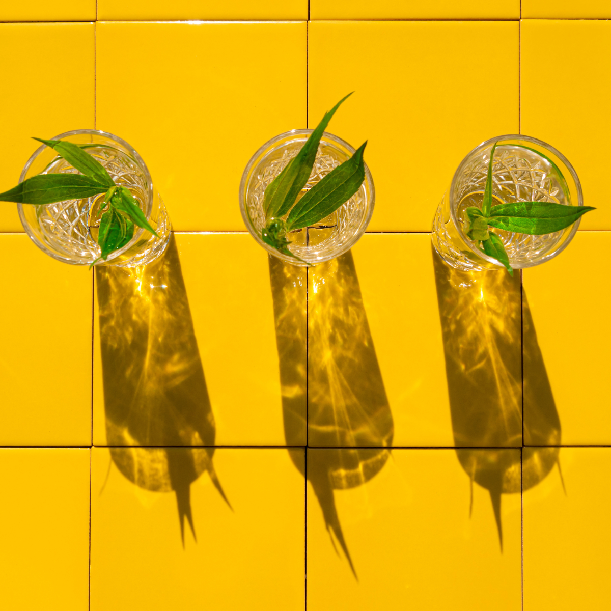 Why Ditching Alcohol For A Period (and Menopause) Could Be the Ultimate Act of Self-Care
