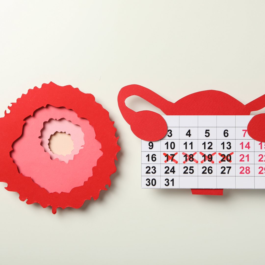 Embracing the Power of the Menstrual Cycle: A New Perspective - Hey Sister!